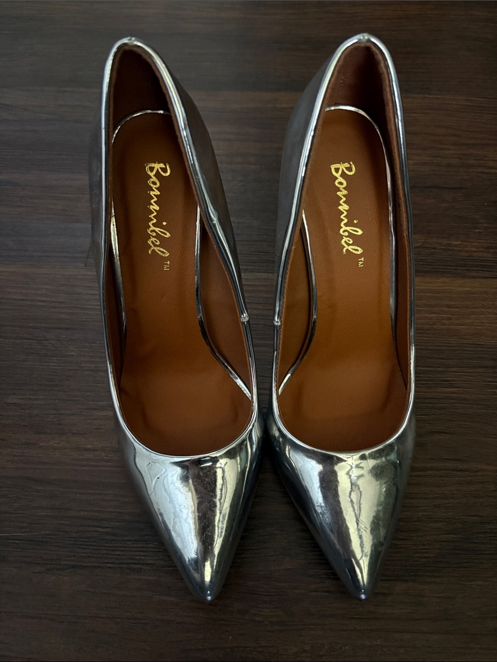 Bonnibel Metallic Silver Pointed Toe Pumps